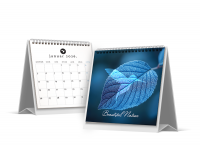 Stoni Planer Beautiful Nature