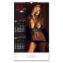 SEXY HOTSHOTS - Zidni kalendar - slika 2
