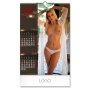 SEXY HOTSHOTS - Zidni kalendar - slika 4