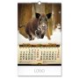 DOBAR POGLED - Zidni kalendar - slika 2